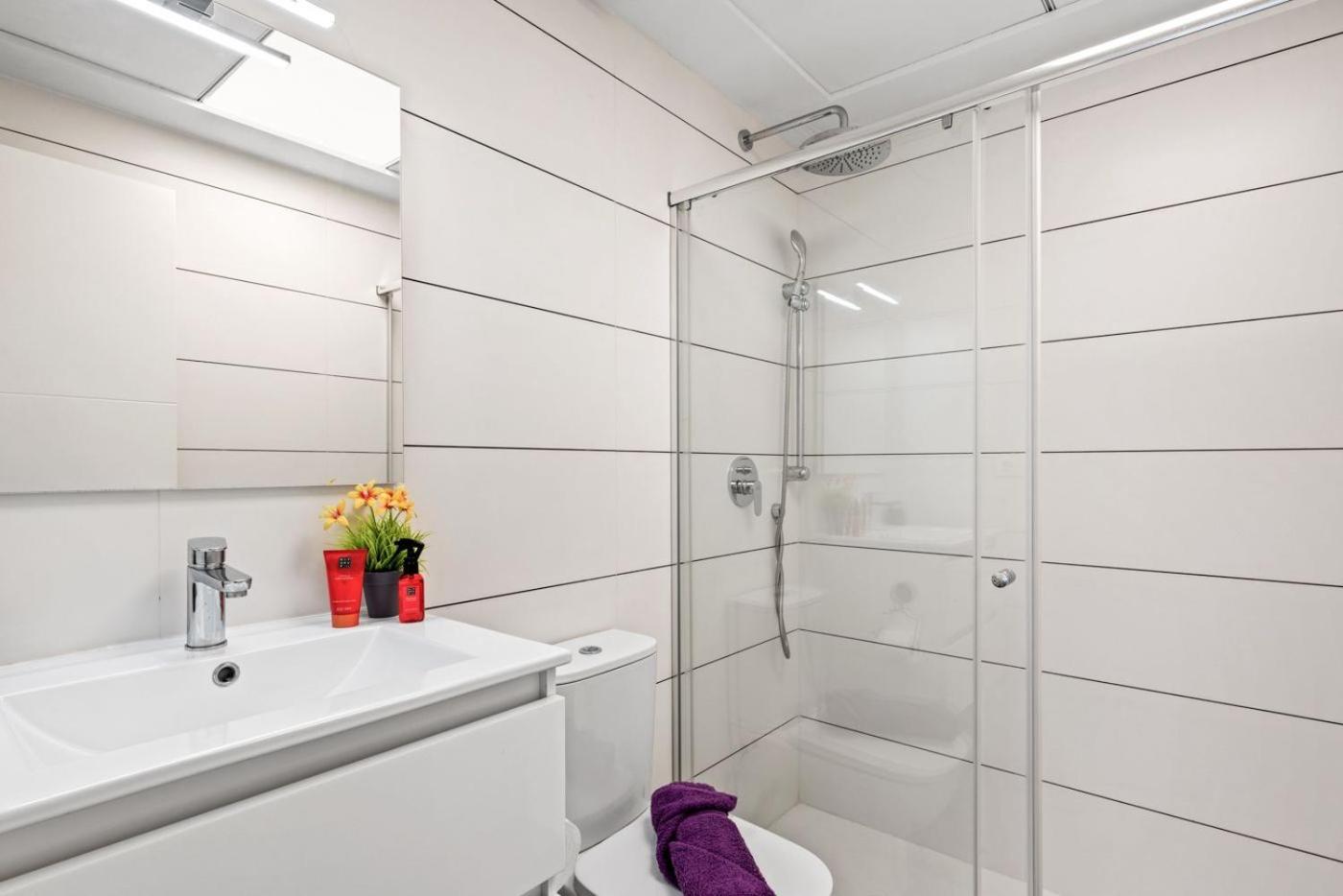 Baliante Spanish Penthouse Orihuela